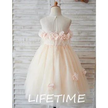 Plunksnų 3D Gėlės, Gėlių Mergaitės Suknelė Aline Rankovių Mergaitė Princesė Suknelė Šampano Tiulis Mergina Gimimo diena Dress Baby Girl Dress